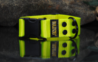 Halsband Nylon Neon-Gelb 40mm, genietet